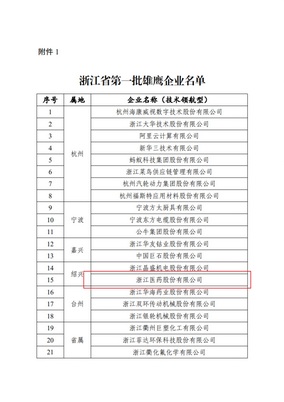 1099vip威尼斯下载入选浙江省第一批雄鹰企业名单